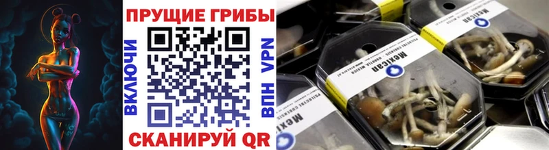 Галлюциногенные грибы Psilocybe  Кольчугино 