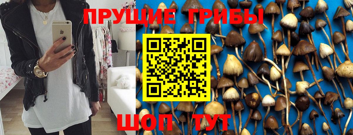 Кольчугино  Галлюциногенные грибы мицелий  где найти наркотики  Вход с VPN 
