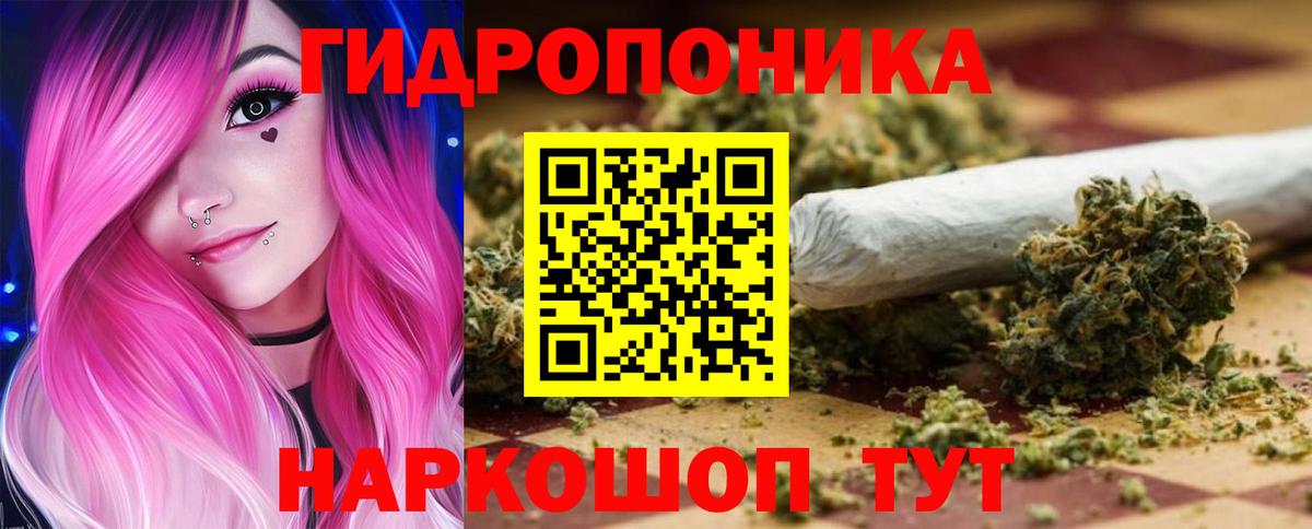 Каннабис AK-47 Кольчугино